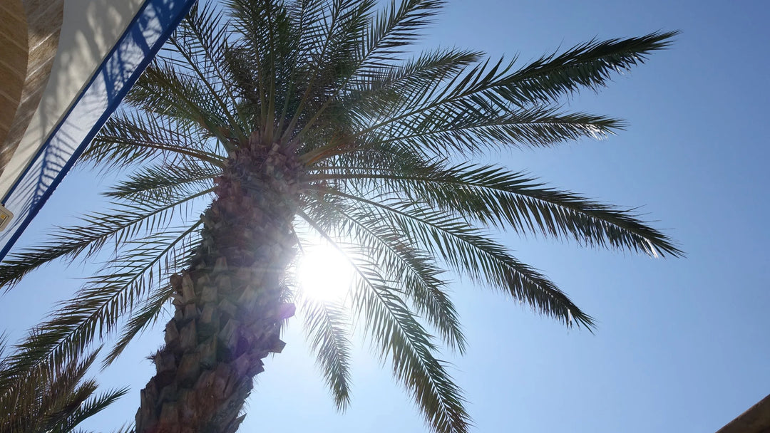 Nos meilleurs conseils pour éviter les coups de soleil