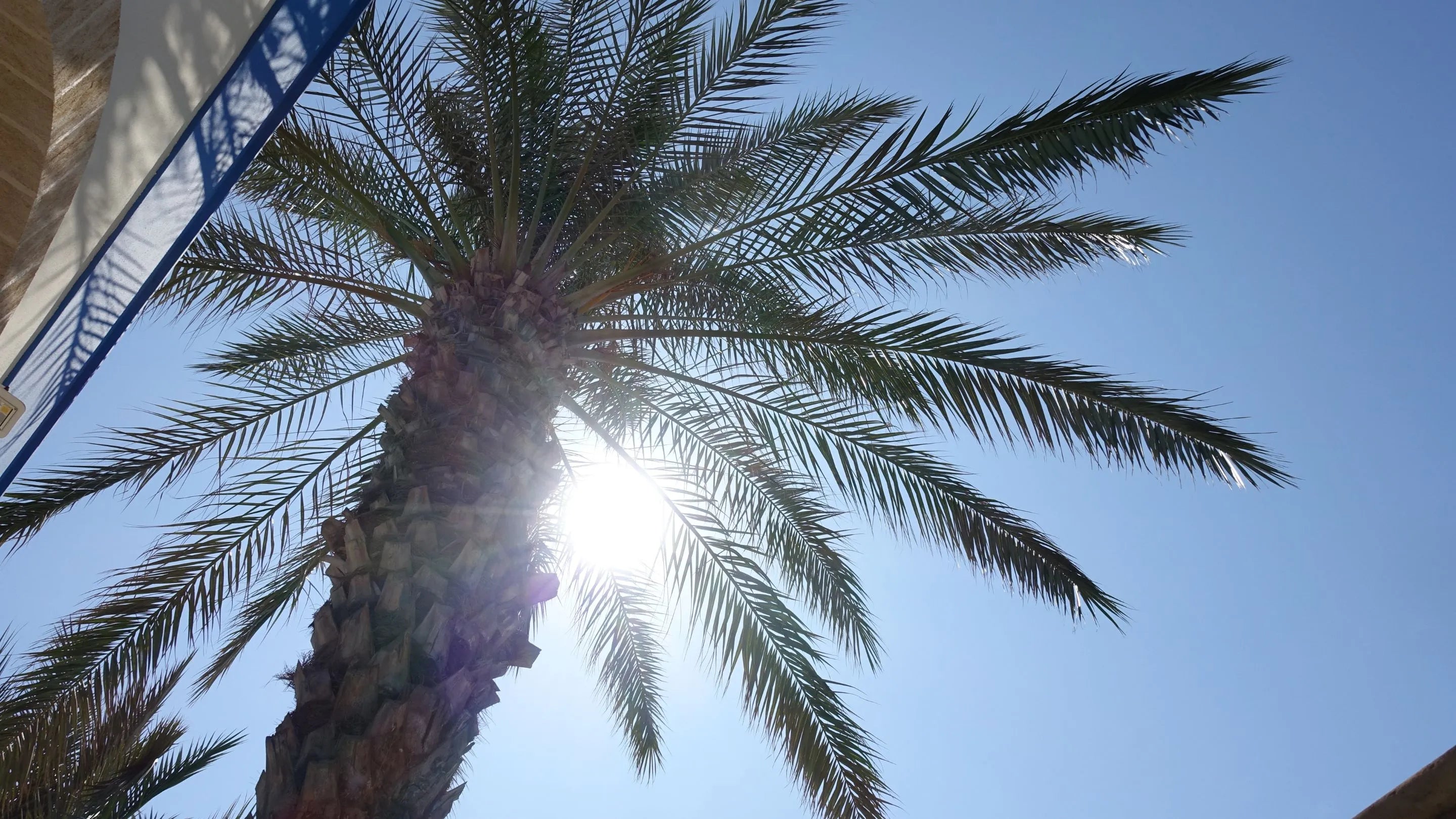 Nos meilleurs conseils pour éviter les coups de soleil