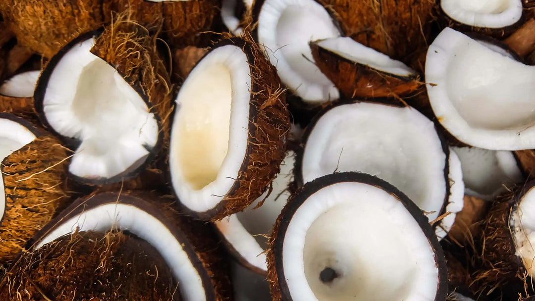 ZOOM sur l'extrait de noix de coco
